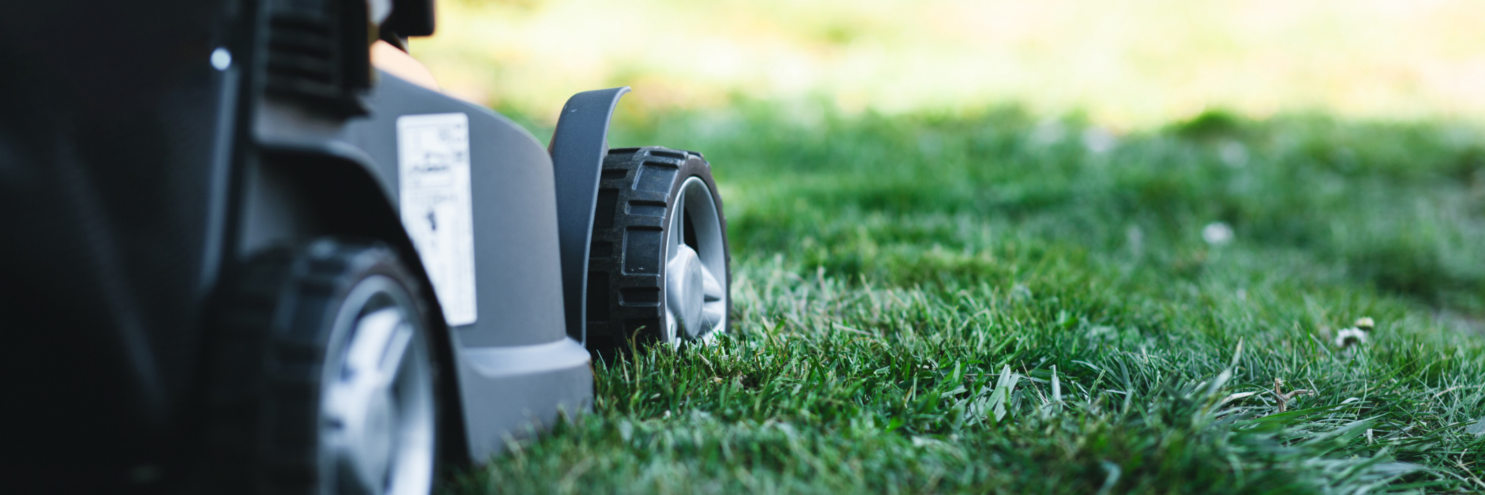 Ersatzmesser für Rasenmäher