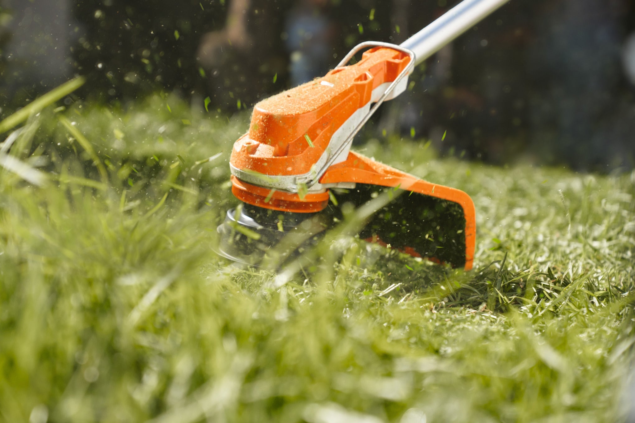 Stihl Freischneider