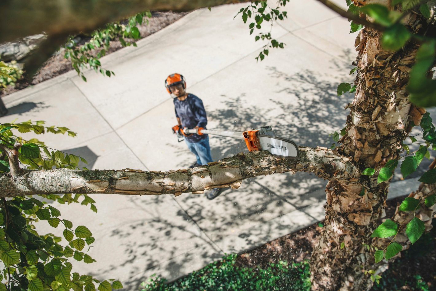 Stihl Hochentaster