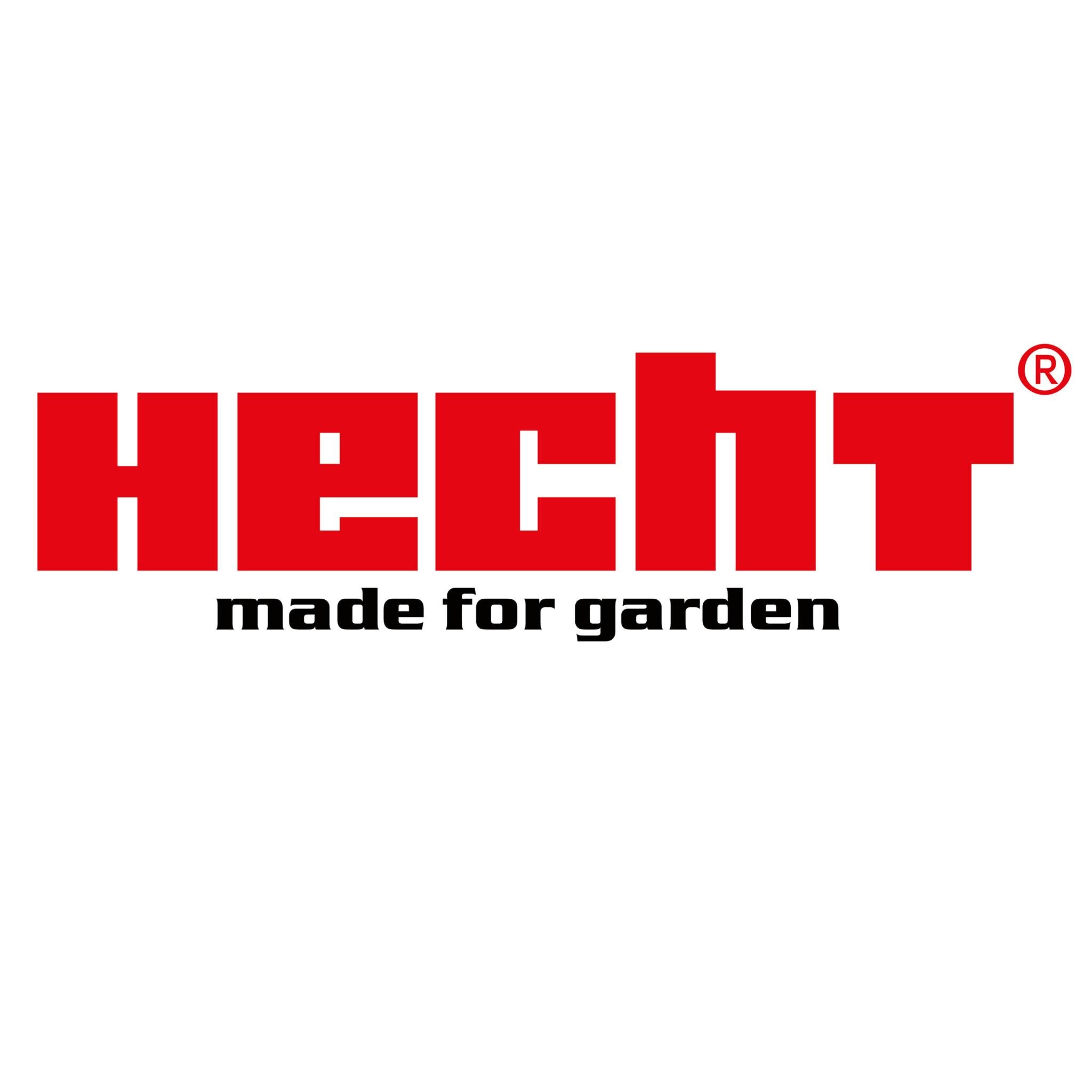 Hecht