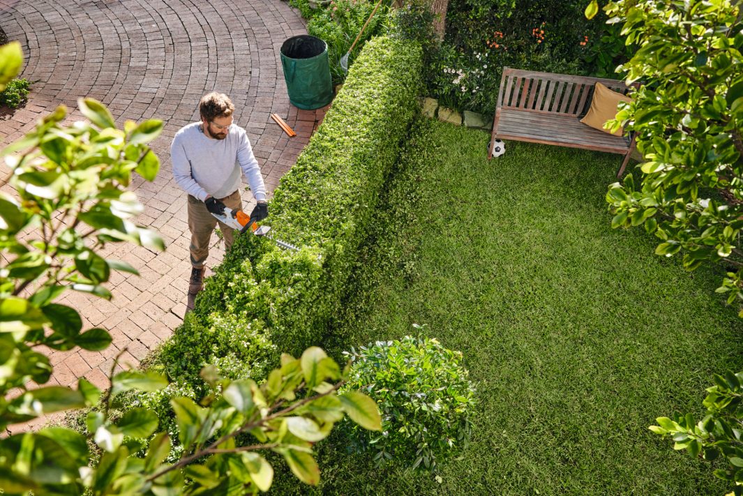 Stihl HSA 30 Akku-Heckenschere