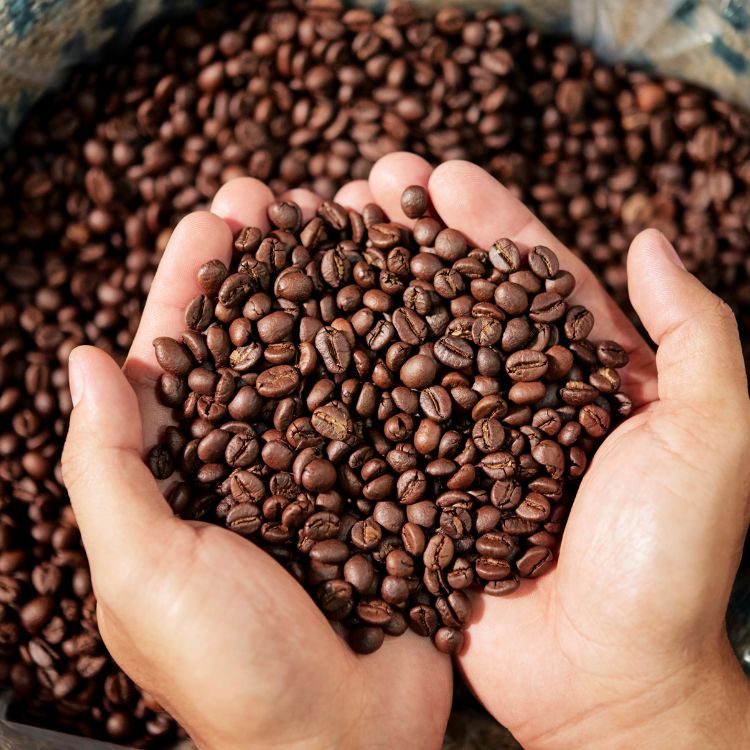 Baba Budan Indian Espresso, ganze Bohnen, 500g