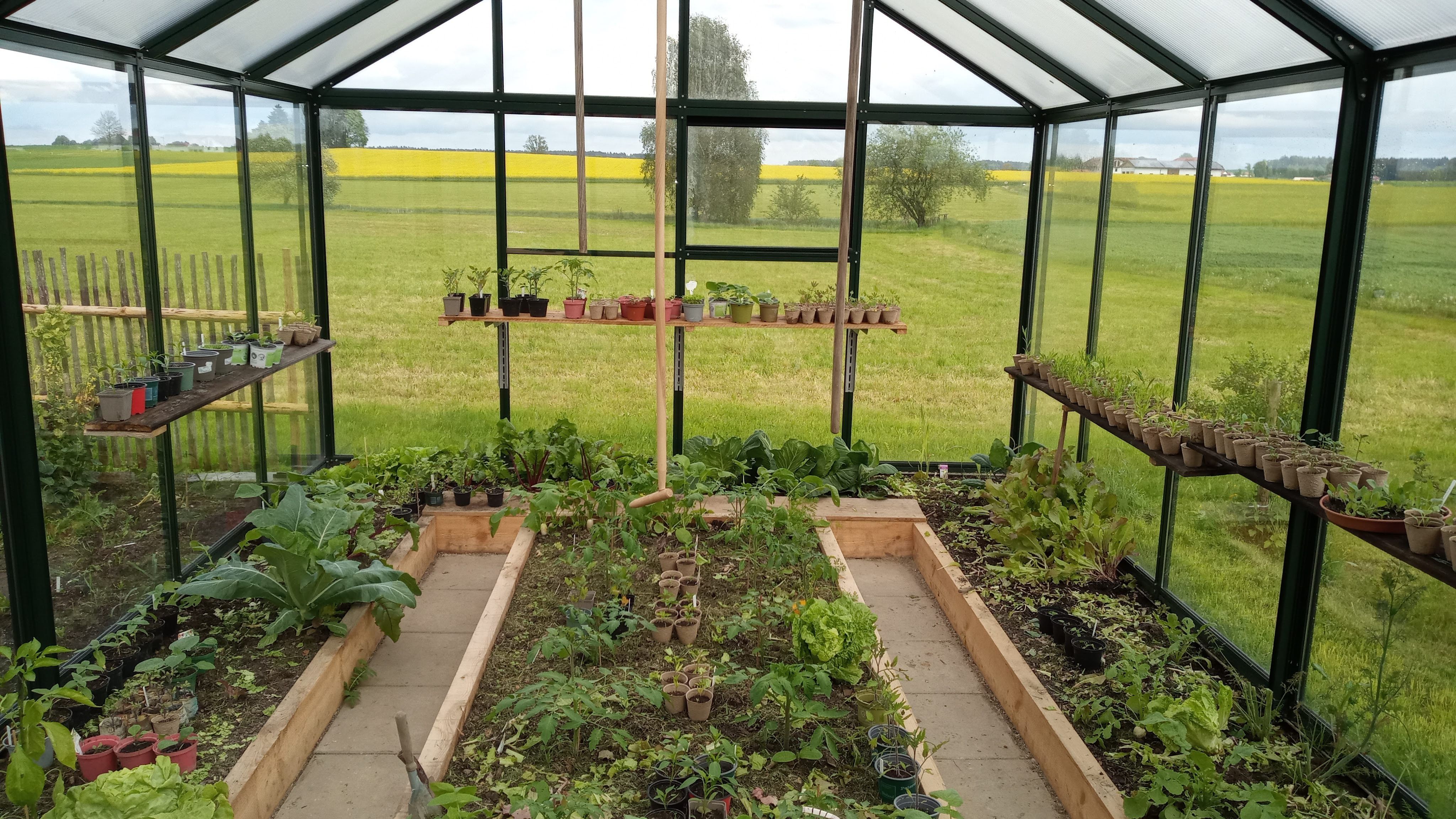 Hoklartherm Gewächshaus "bio-varis"