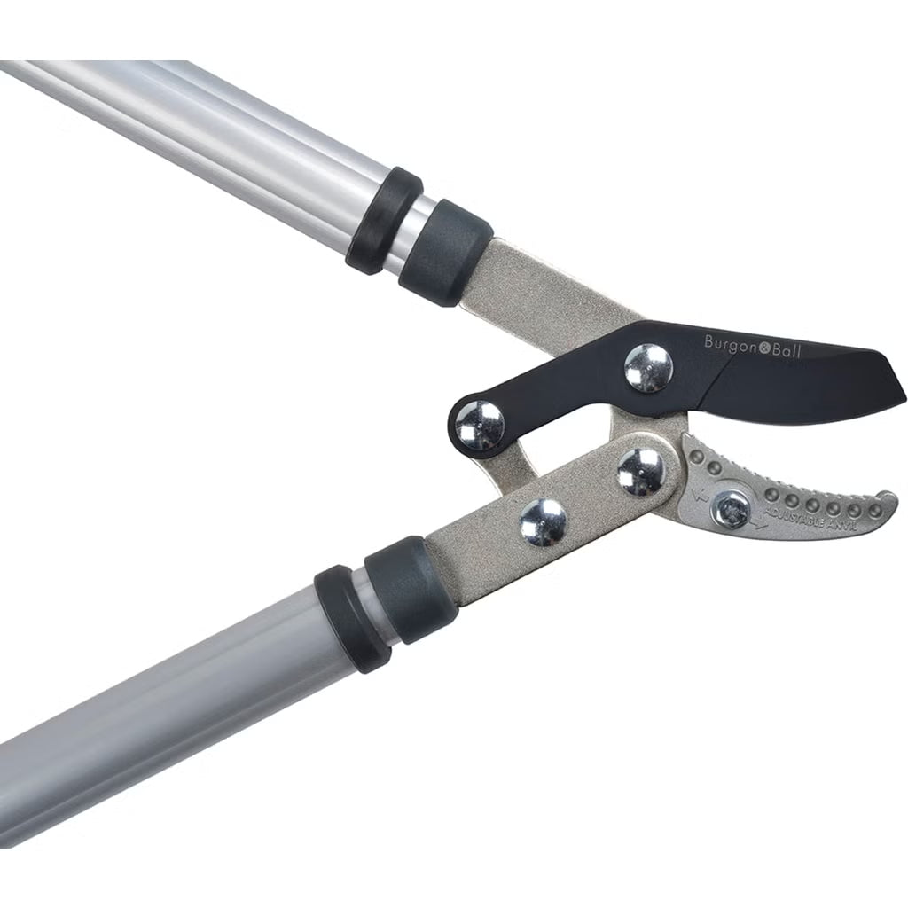 Burgon & Ball Teleskopischer Amboss Astschneider