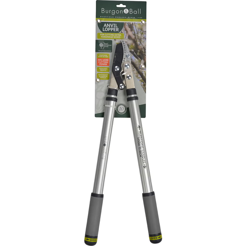 Burgon & Ball Teleskopischer Amboss Astschneider