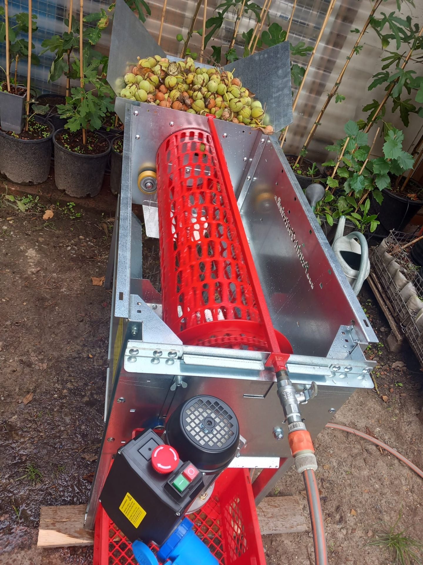 Feucht Obsttechnik Wasch- und Kalibriermaschine für Nüsse WK250