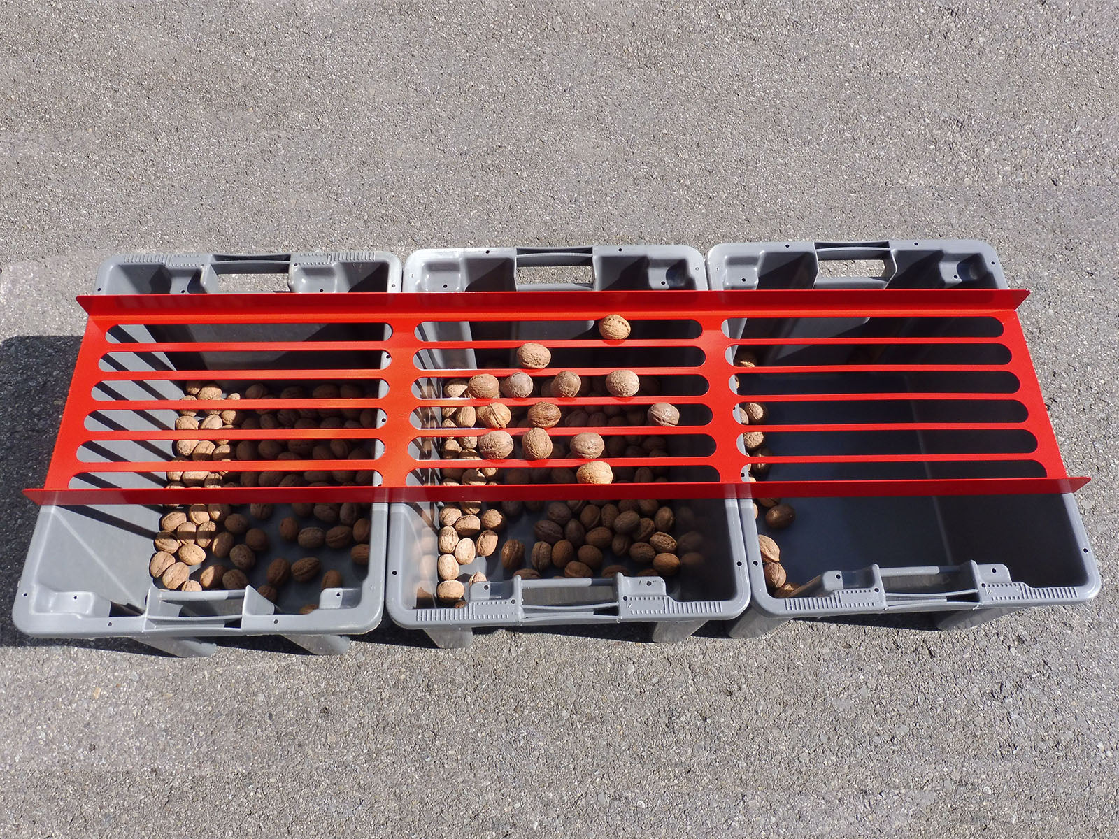 Feucht Obsttechnik Handsieb Walnuss groß 28mm, 30mm, 32mm Kalibriersieb