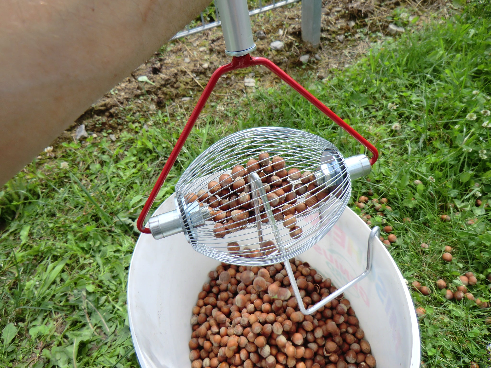 Feucht Obsttechnik Rollblitz Klein für Haselnüsse, Eicheln, Mandeln, Pistazien, Oliven usw.