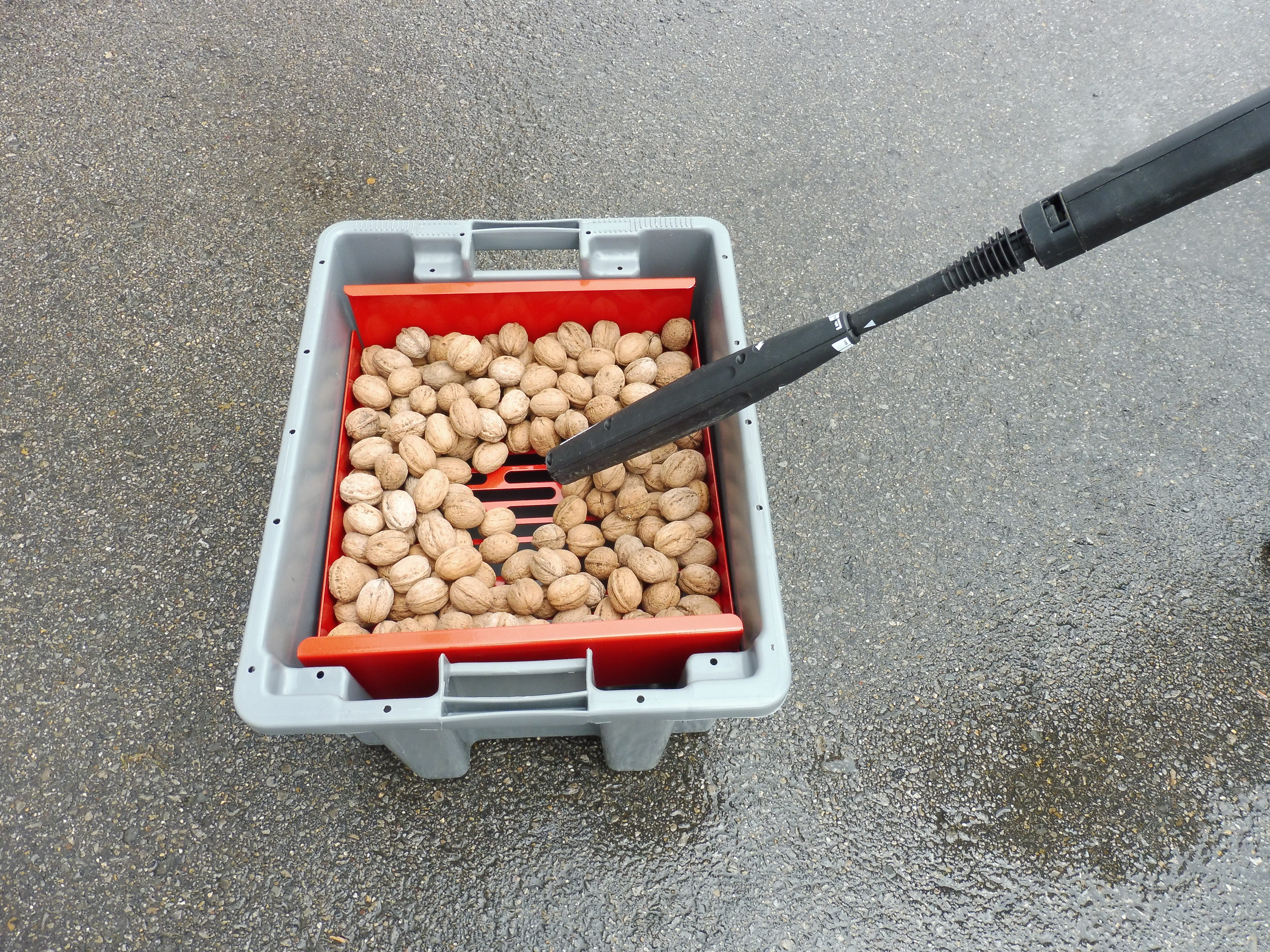 Feucht Obsttechnik Waschkiste für Nüsse