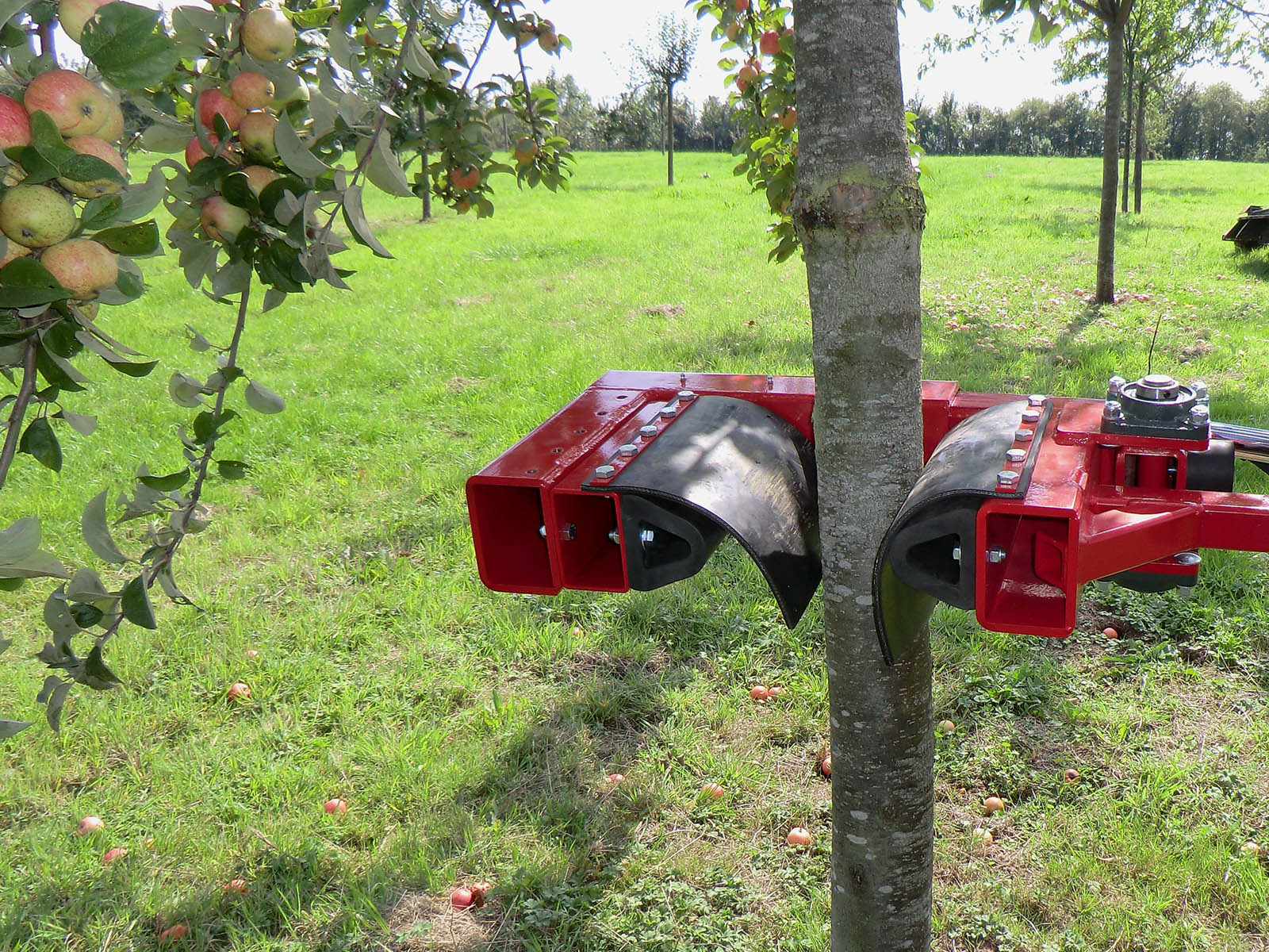 Feucht Obsttechnik mechanischer Stammschüttler