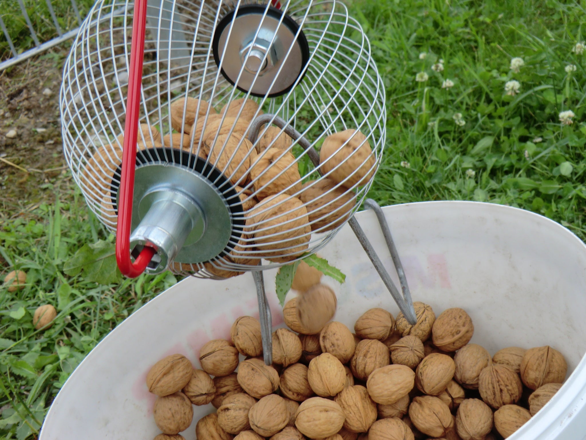 Feucht Obsttechnik Rollblitz Mittel für Walnüsse, Golfbälle, Zwetschgen usw.