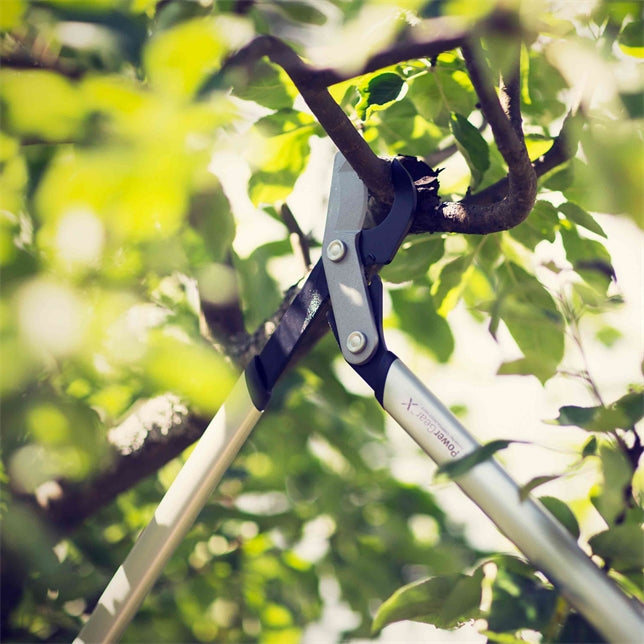 Fiskars PowerGear X Bypass-Getriebeastschere LX94-M