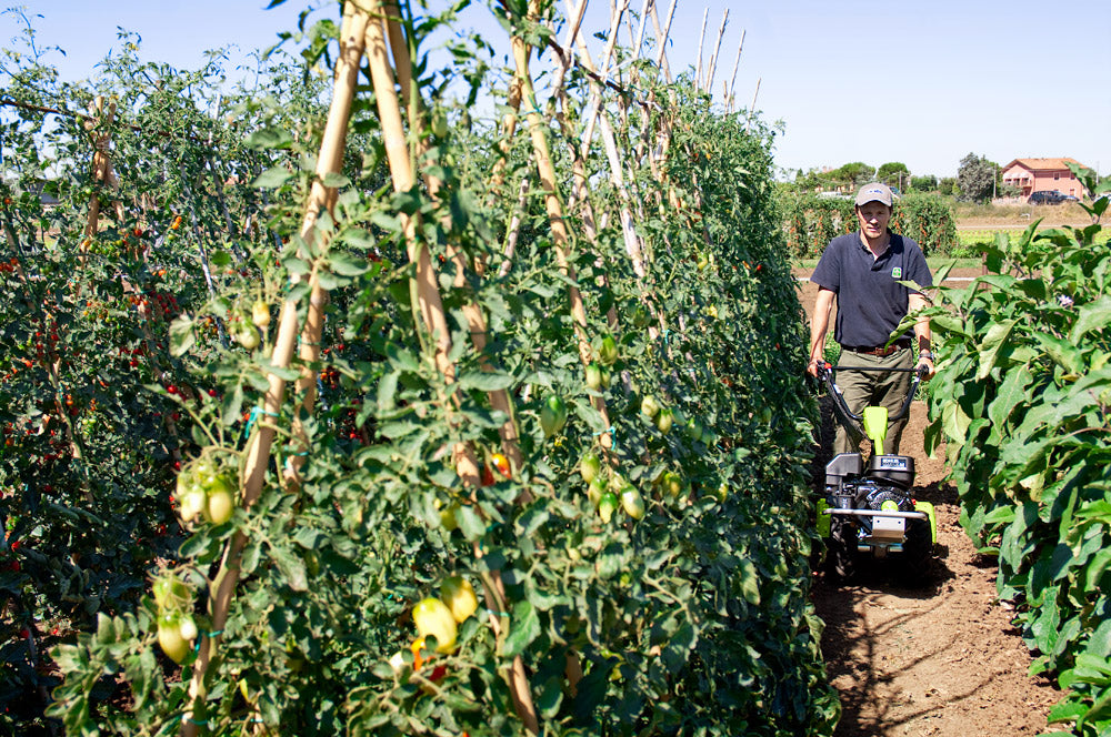 Grillo Einachsschlepper G52
