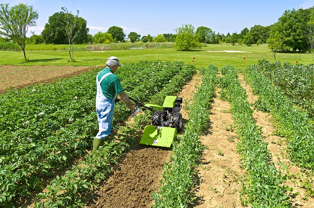 Grillo Einachsschlepper G55