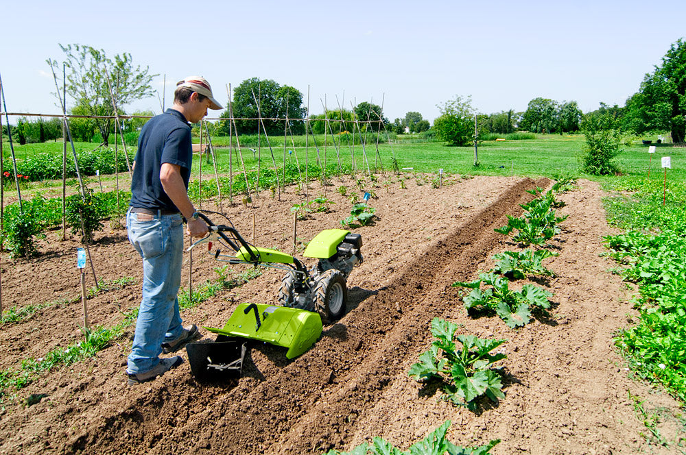 Grillo Einachsschlepper G55