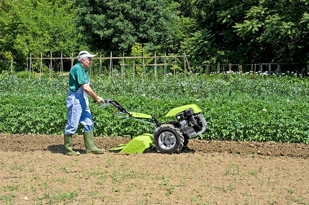 Grillo Einachsschlepper G85d