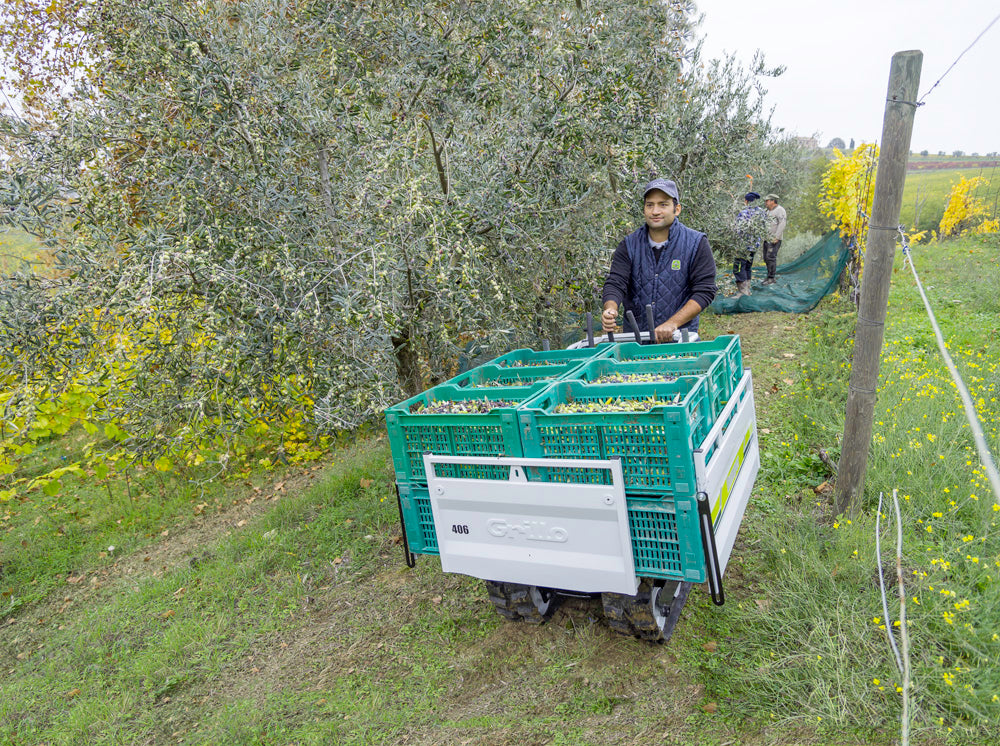 Grillo Raupenkettentransporter DUMPER 406