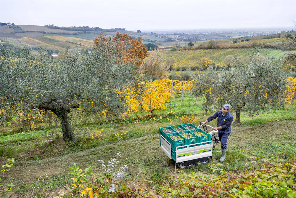 Grillo Raupenkettentransporter DUMPER 406