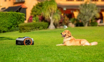 Segway Navimow i108 Robotic Lawn Mower|Max 960 m²
