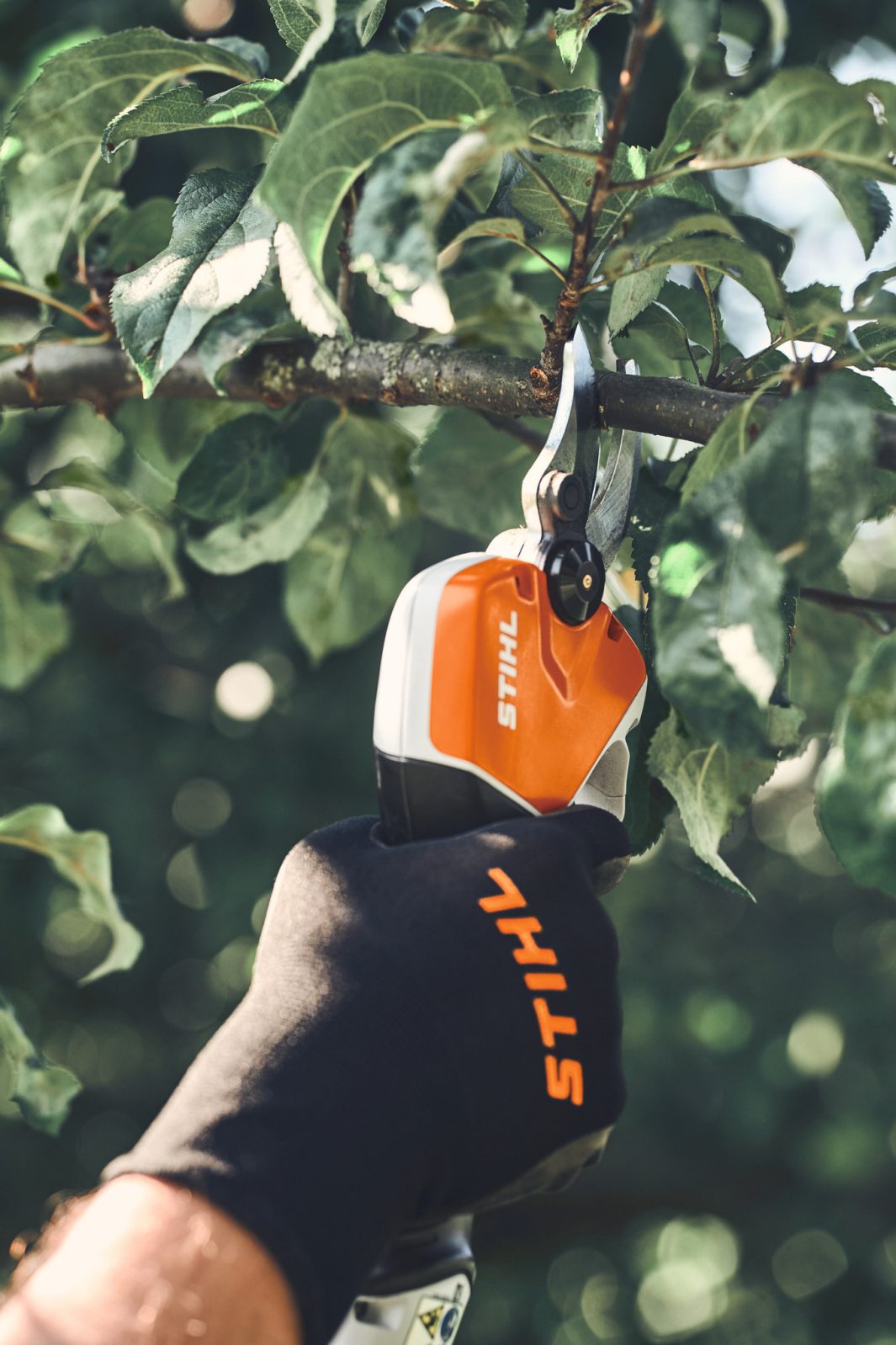 Stihl ASA 140 Akku-Astschere mit Akku AP 30