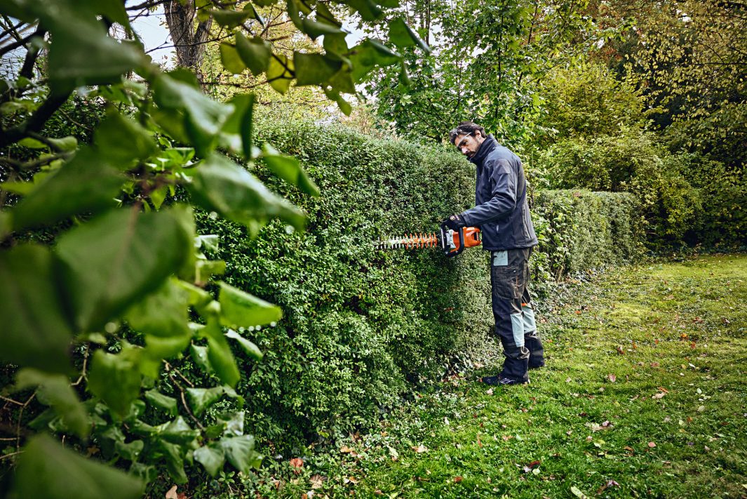 Stihl Akku-Heckenschere HSA 100 mit Akku AP20