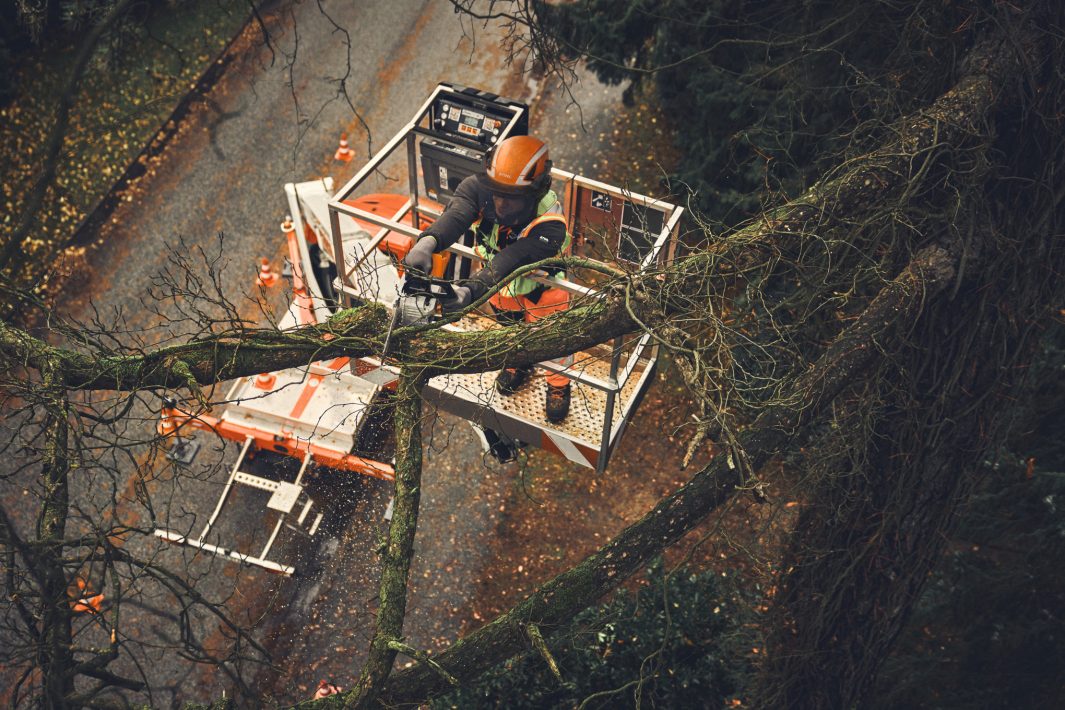 Stihl MSA 190 T Akku-Kettensäge ohne Akku und Ladegerät