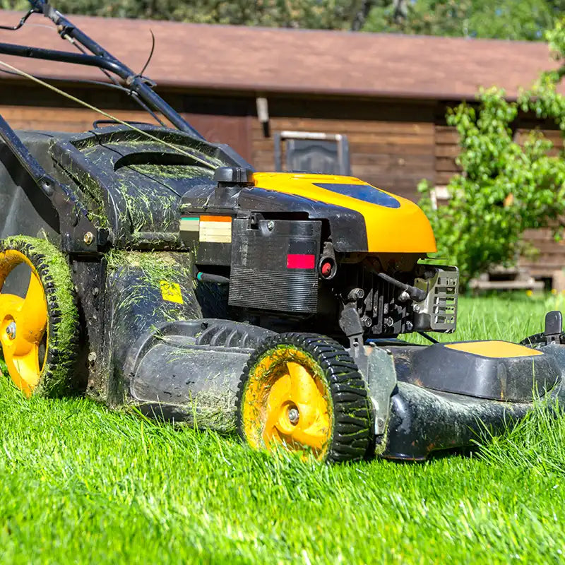 Cub Cadet Rasenmäher