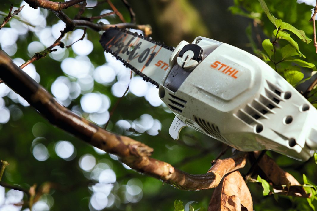 Stihl HTA 86 Hoch-Entaster, ohne Akku und ohne Ladegerät