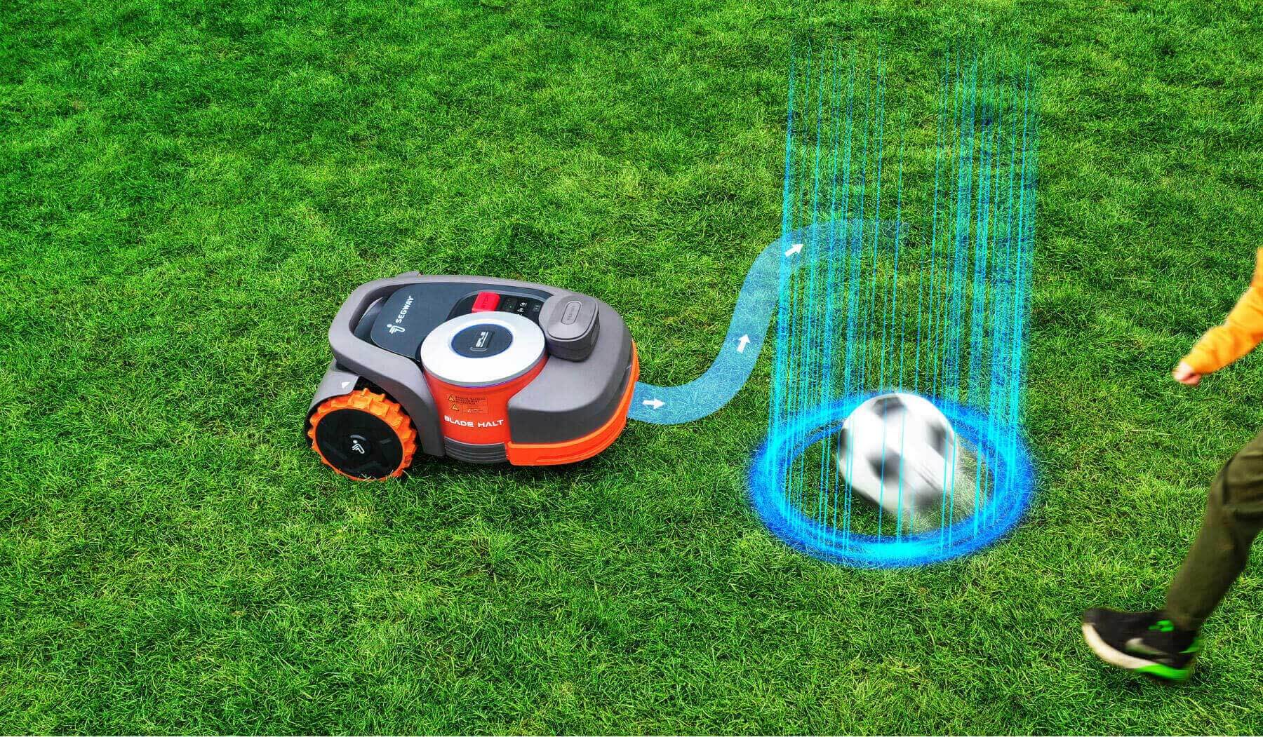 Segway Vision Fence Sensor