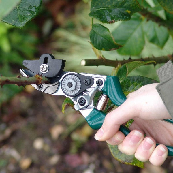 Burgon & Ball Rosenschere