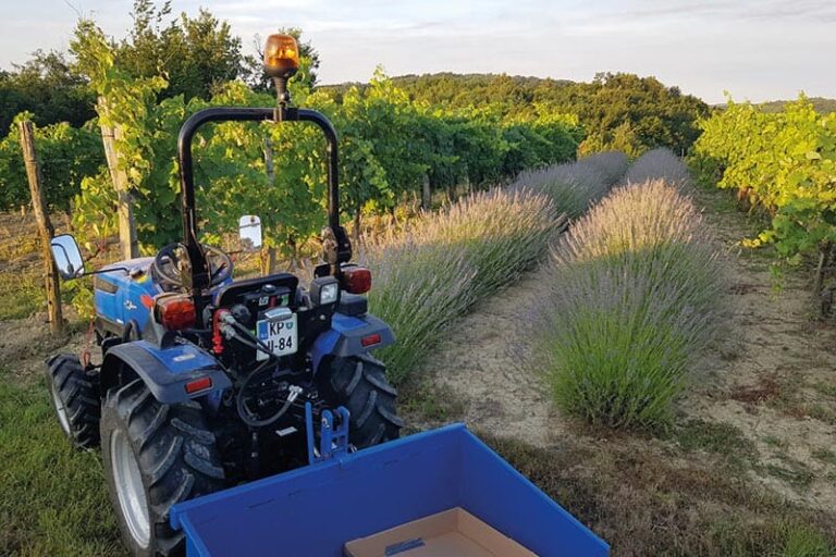 Solis Traktor 26 mit Seitenschaltung