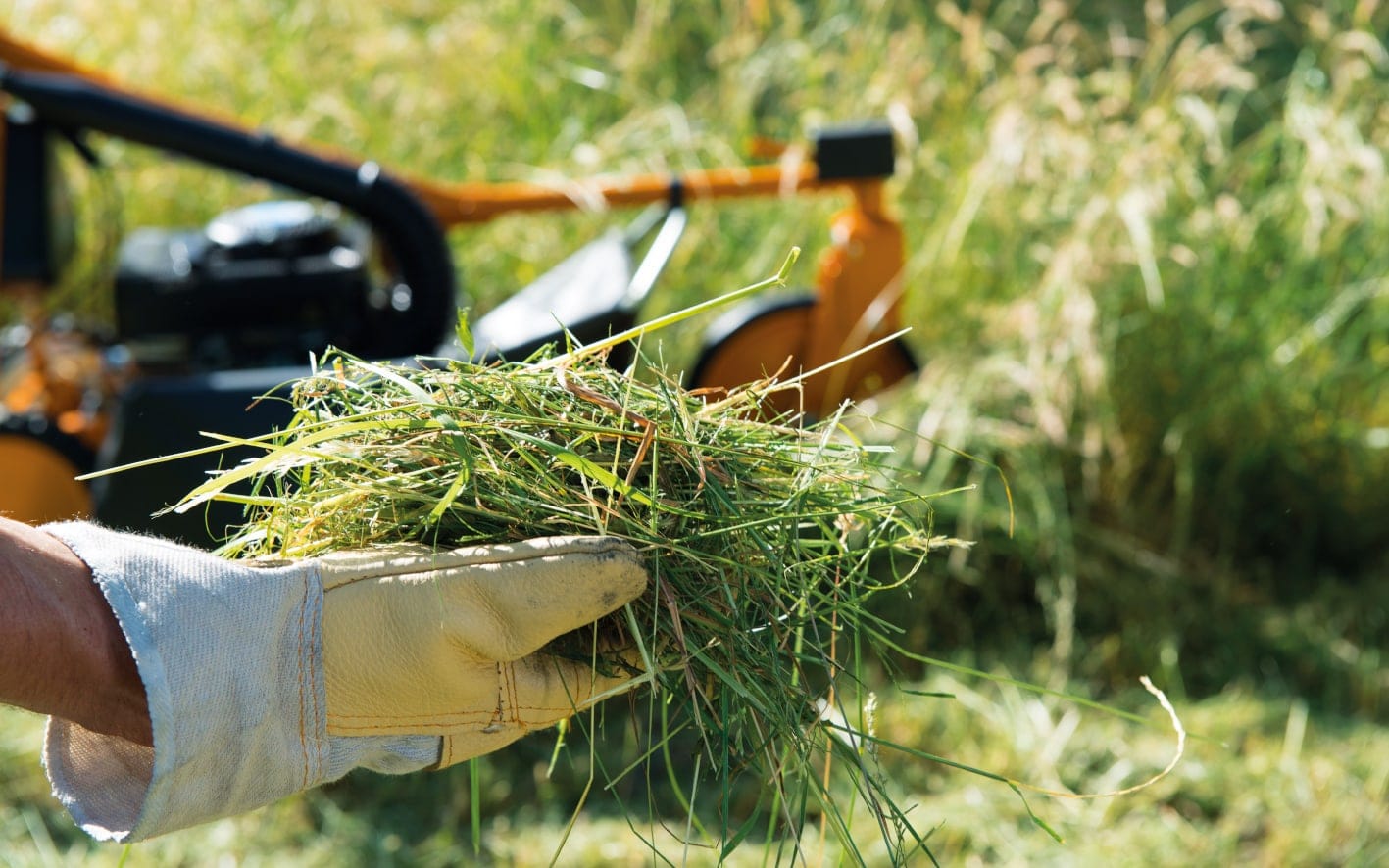 AS 21 4T Comfort Wiesenmäher