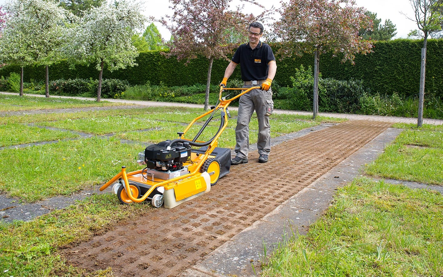 AS 50 WeedHex Wildkrautentferner