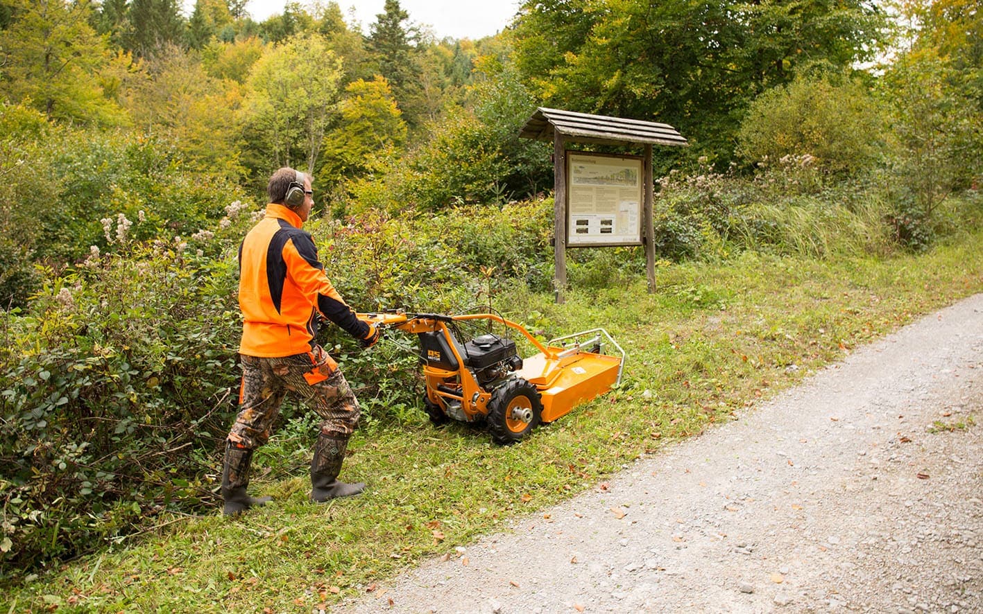 AS 65 2T ES Wiesenmäher