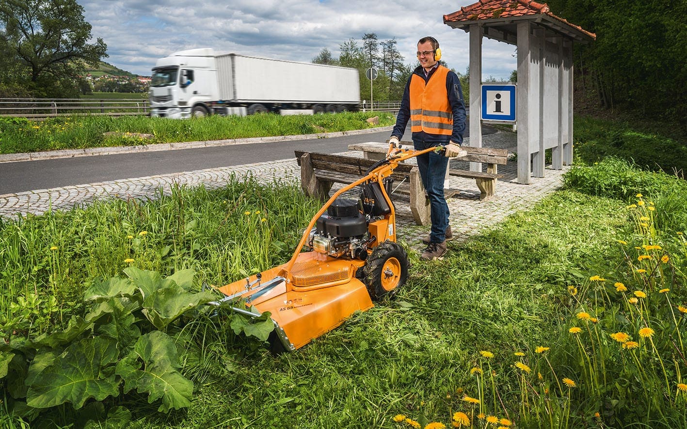 AS 65 4T B&S Wiesenmäher