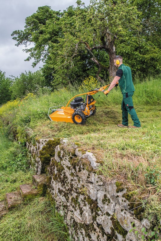 AS 73 4T B&S Wiesenmäher