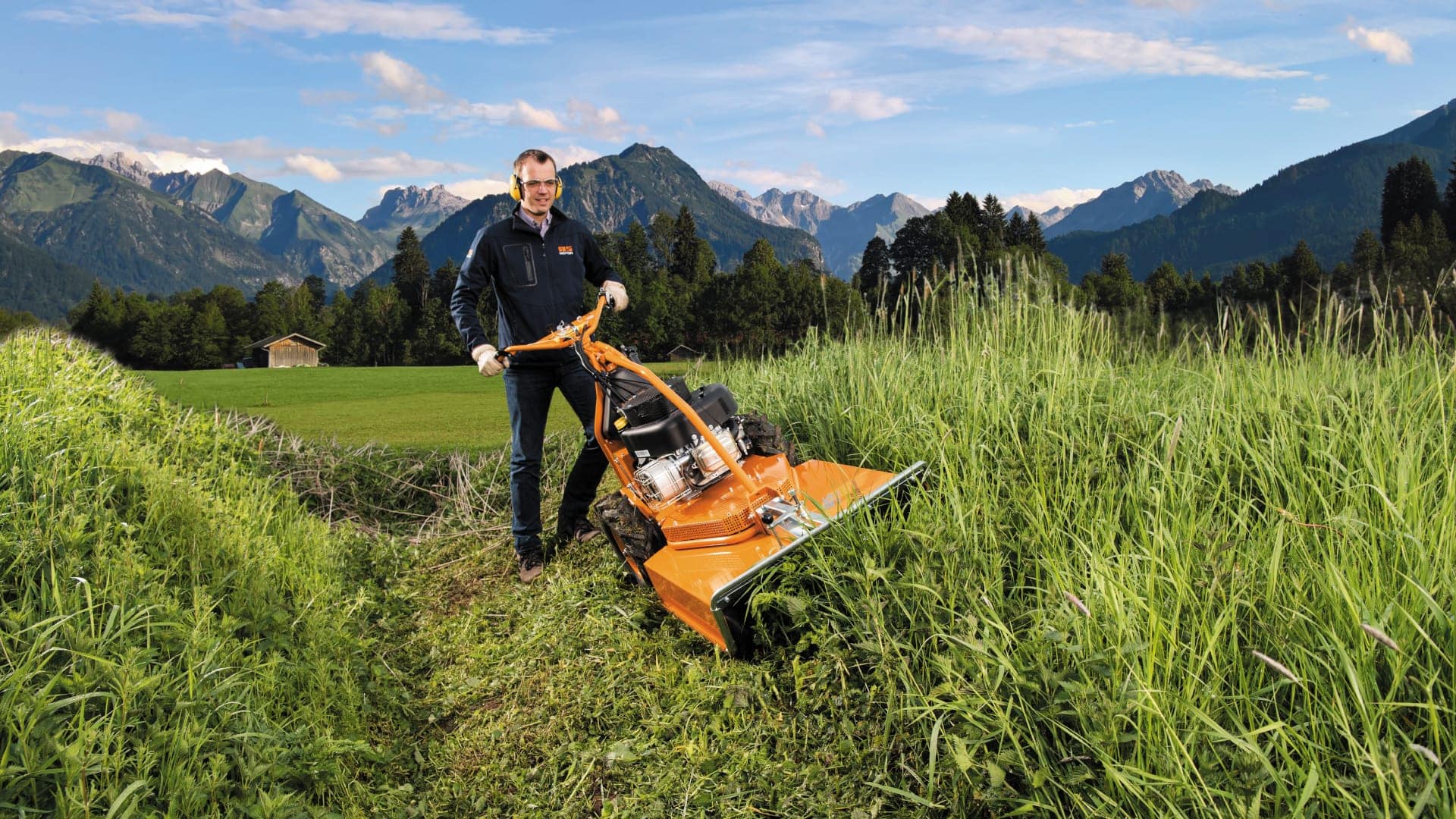 AS 65 4T B&S Wiesenmäher