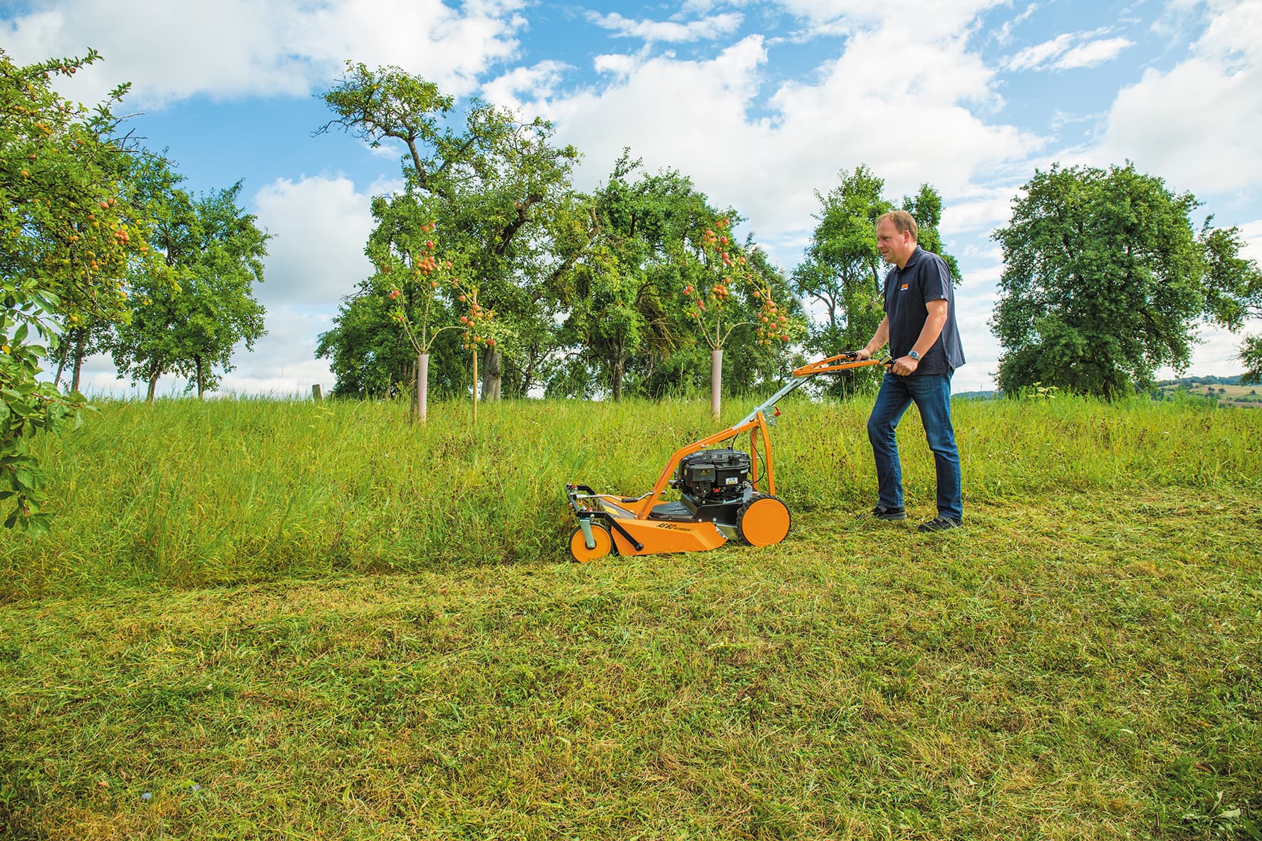 AS 62 4T B&S Wiesenmäher