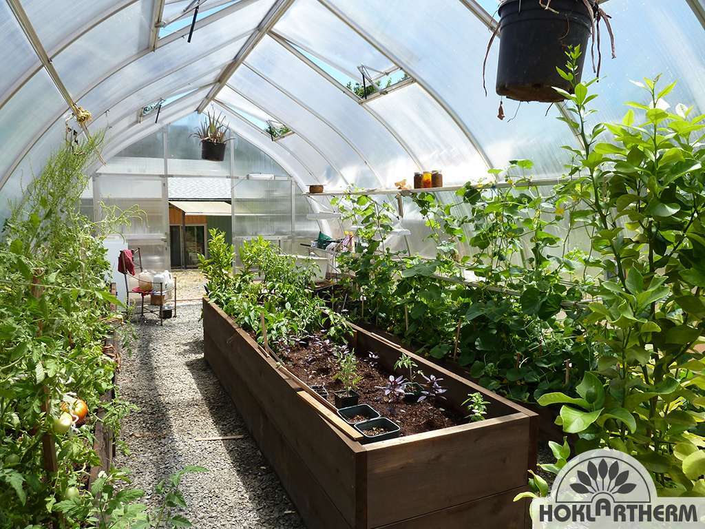 Hoklartherm Gewächshaus "Riga"