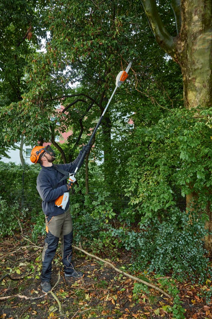Stihl HTA 86 Hoch-Entaster, ohne Akku und ohne Ladegerät