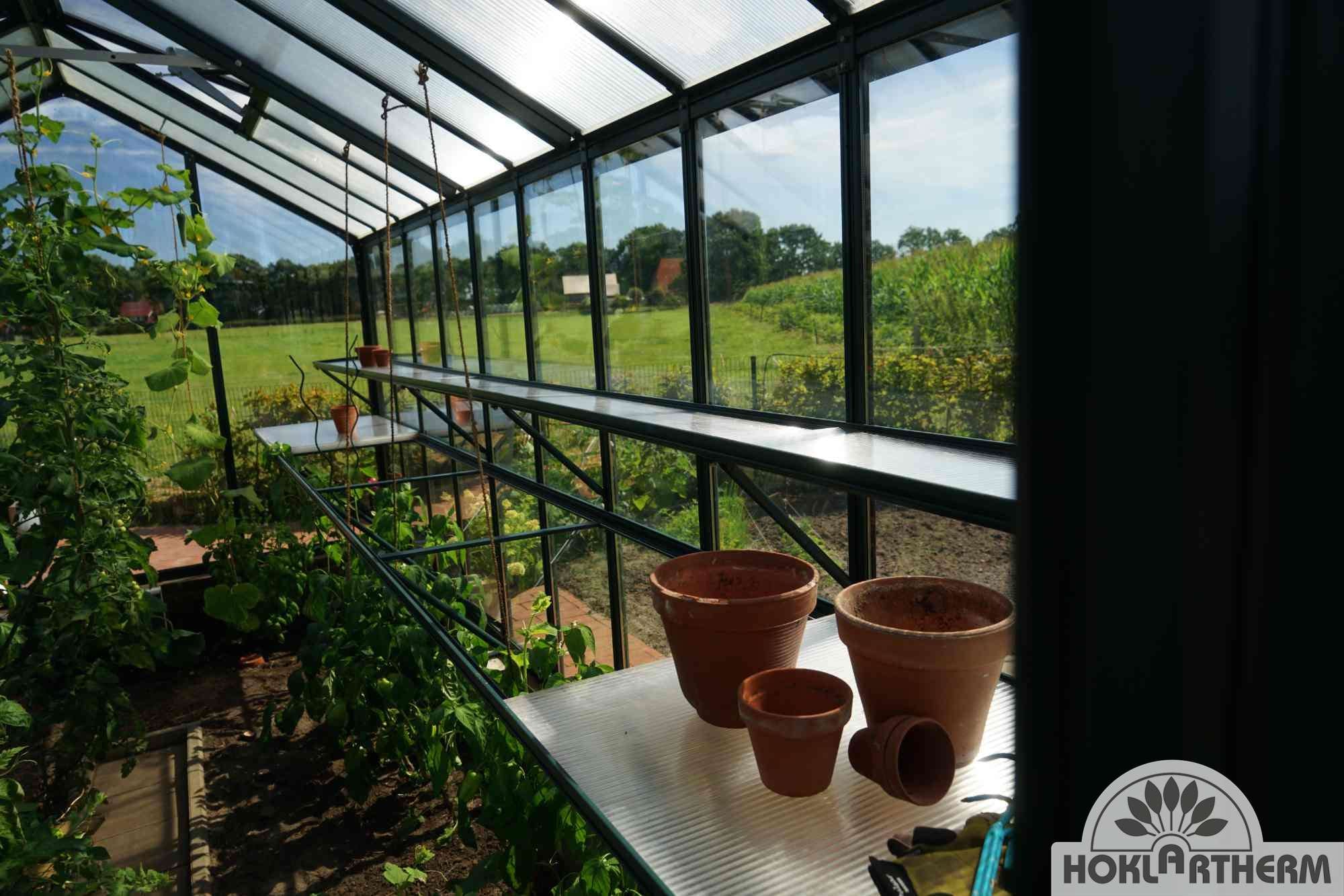 Hoklartherm Gewächshaus "bio-top t-line"