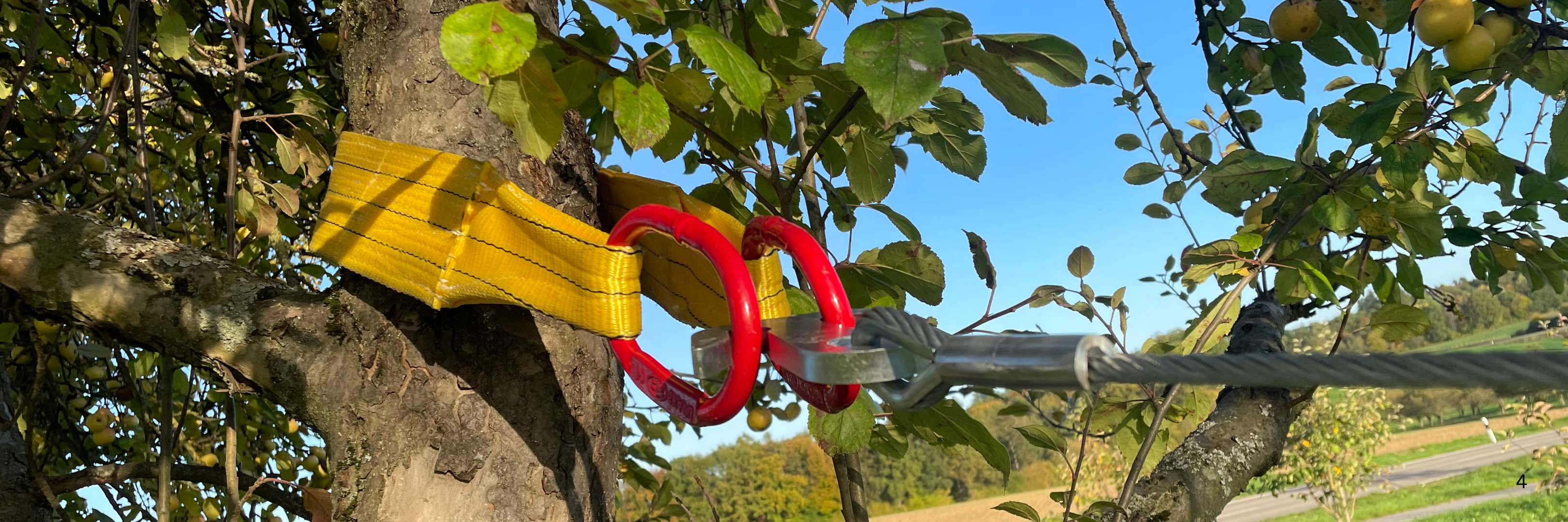 Obstschüttler