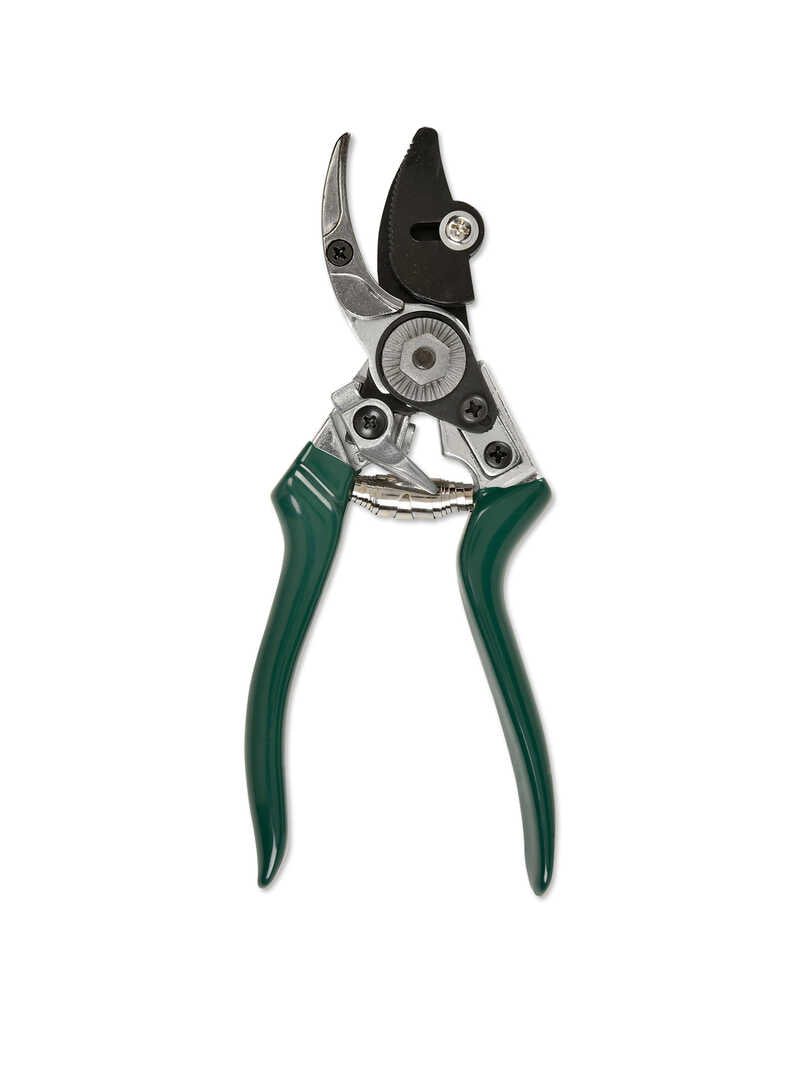 Burgon & Ball Rosenschere