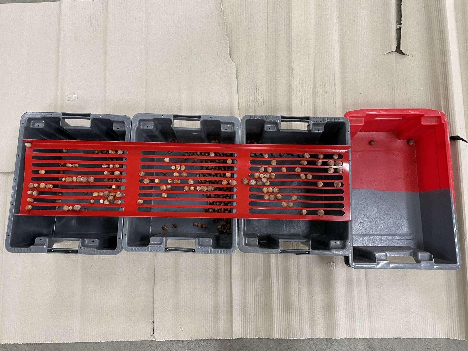 Feucht Obsttechnik Handsieb Haselnuss 10mm, 12mm, 14mm Kalibriersieb