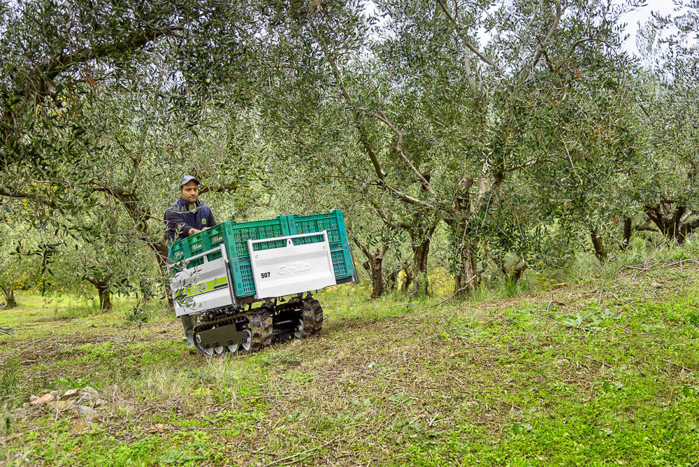 Grillo Raupenkettentransporter DUMPER 507