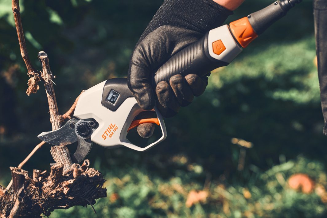 Stihl ASA 130 Akku-Astschere ALLPRO-System mit Akku AP 30