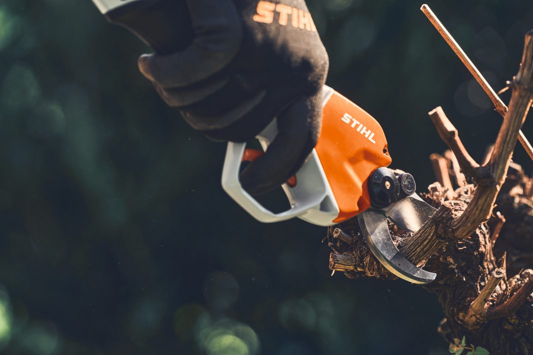 Stihl ASA 130 Akku-Astschere ALLPRO-System mit Akku AP 30