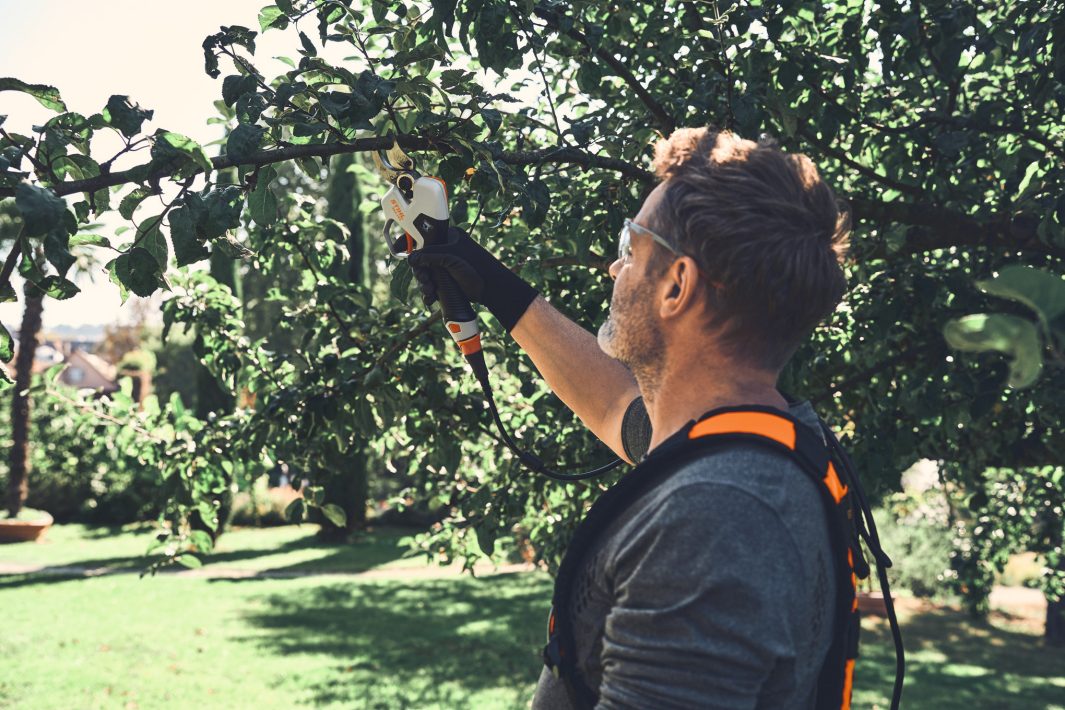 Stihl ASA 140 Akku-Astschere mit Akku AP 30