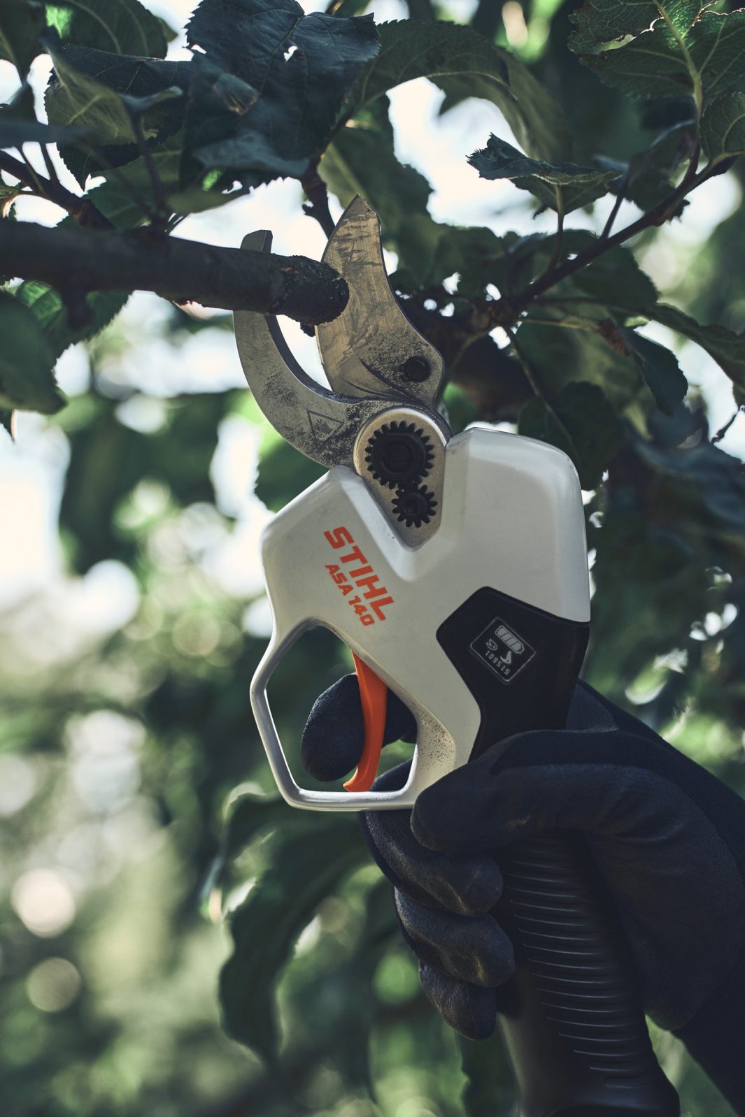 Stihl ASA 140 Akku-Astschere mit Akku AP 30