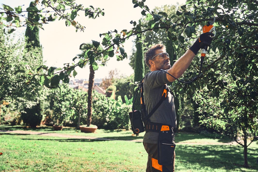 Stihl ASA 140 Akku-Astschere mit Akku AP 30